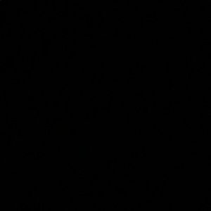 Meet your Posher, Dhara